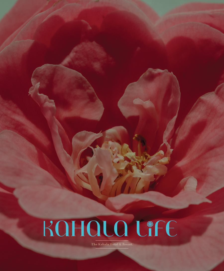 2025, Kahala Life 1.2